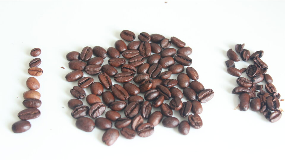 bild von caffe-corsini-puro-arabica-ethiopia-harenna-forrest-espresso