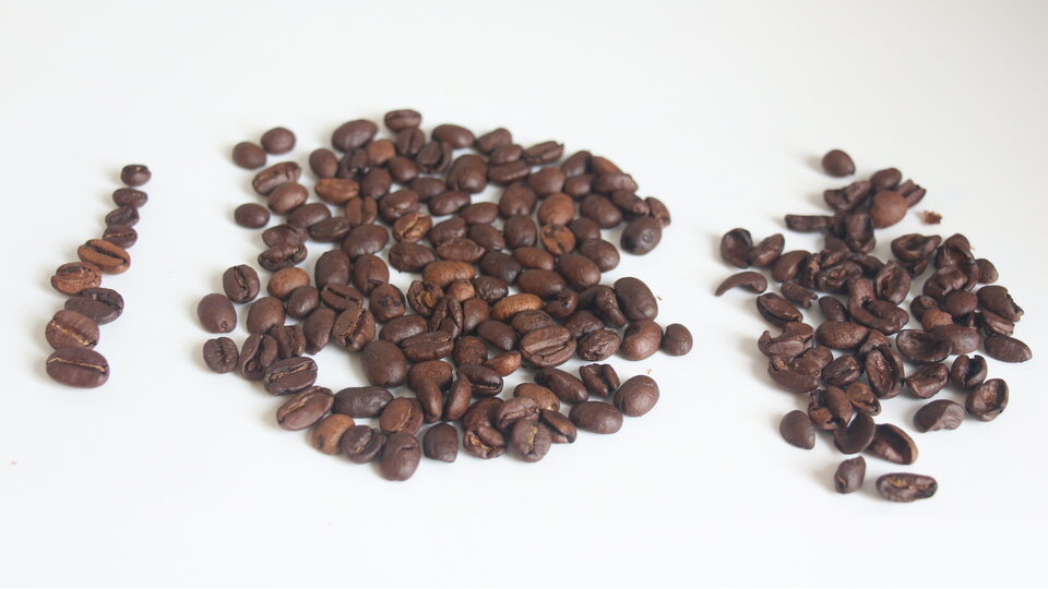 bild von caffe-corsini-puro-arabica-kenya-aa-washed-intenso