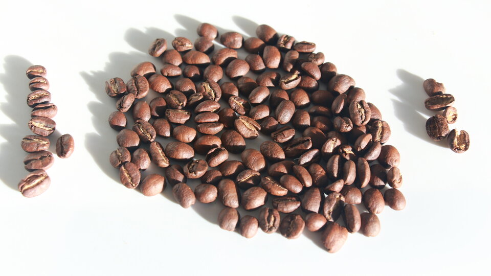 bild von illy-espresso-arabica-selection-aethiopien