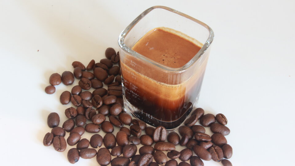 bild von lavazza-tierra-for-Africa-bio-organic-espresso