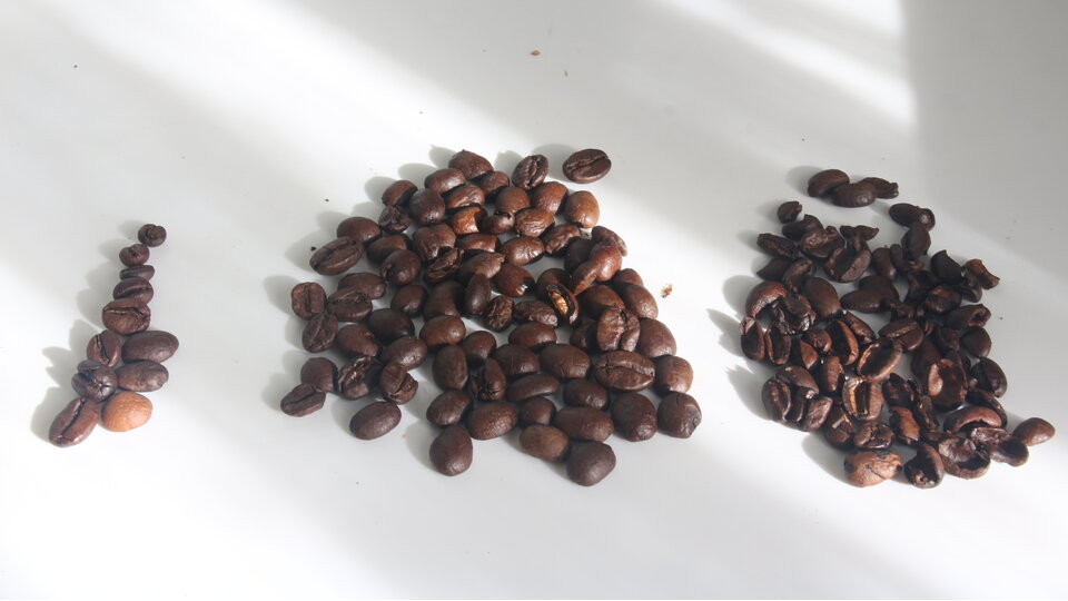 bild von rutasoka-butembo-bio-arabica-kaffee